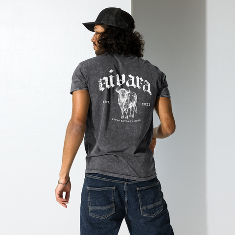 Denim-T-Shirt Stier